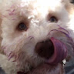 Meet your Posher, Imogen